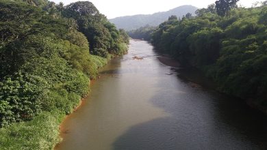 Mahaweli River