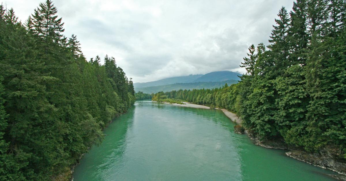 Skagit River 