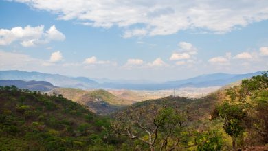 Bvumba Mountains