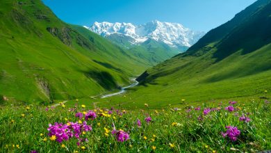 Caucasus Mountains