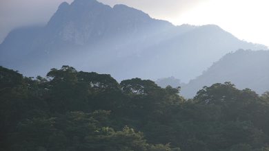 Eastern Arc Mountains