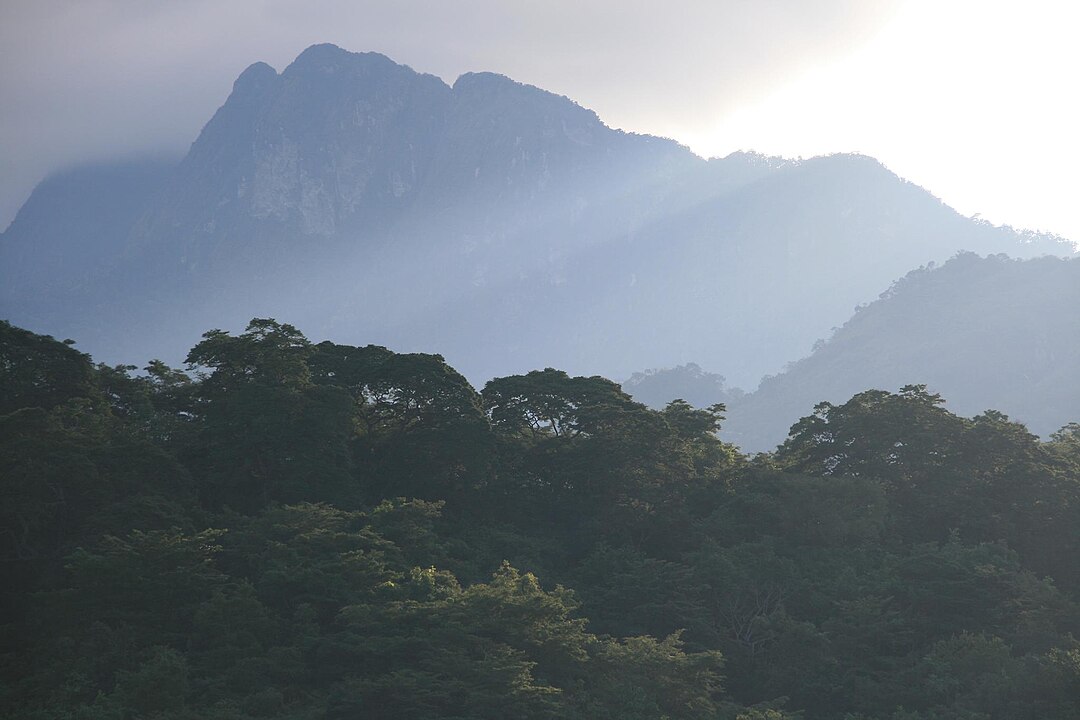 Eastern Arc Mountains