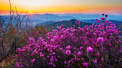 Lesser Khingan Mountains  