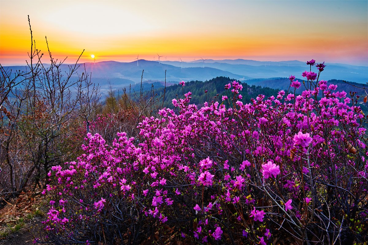 Lesser Khingan Mountains  