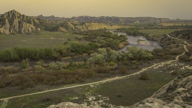 Alazani River