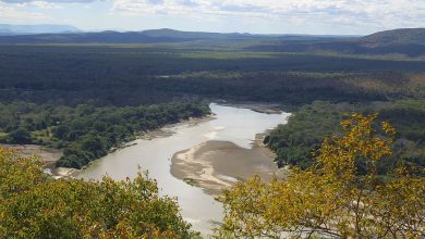 Luangwa River