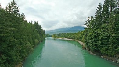 Skagit River 