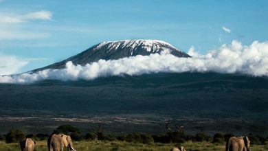 Kilimanjaro Mountains  