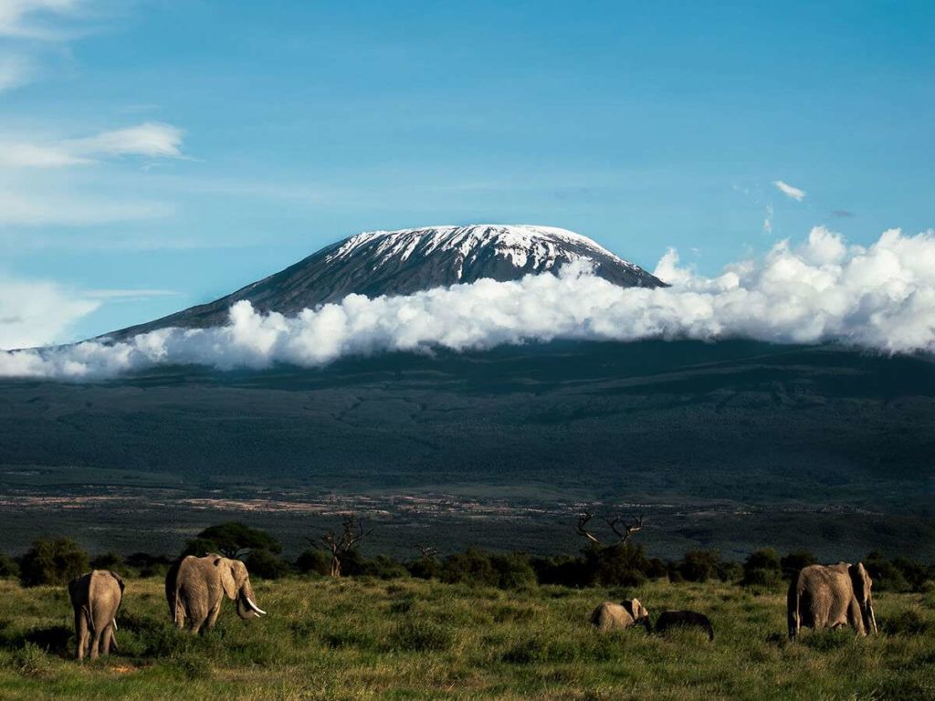 Kilimanjaro Mountains  