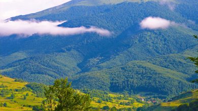 Bieszczady Mountains