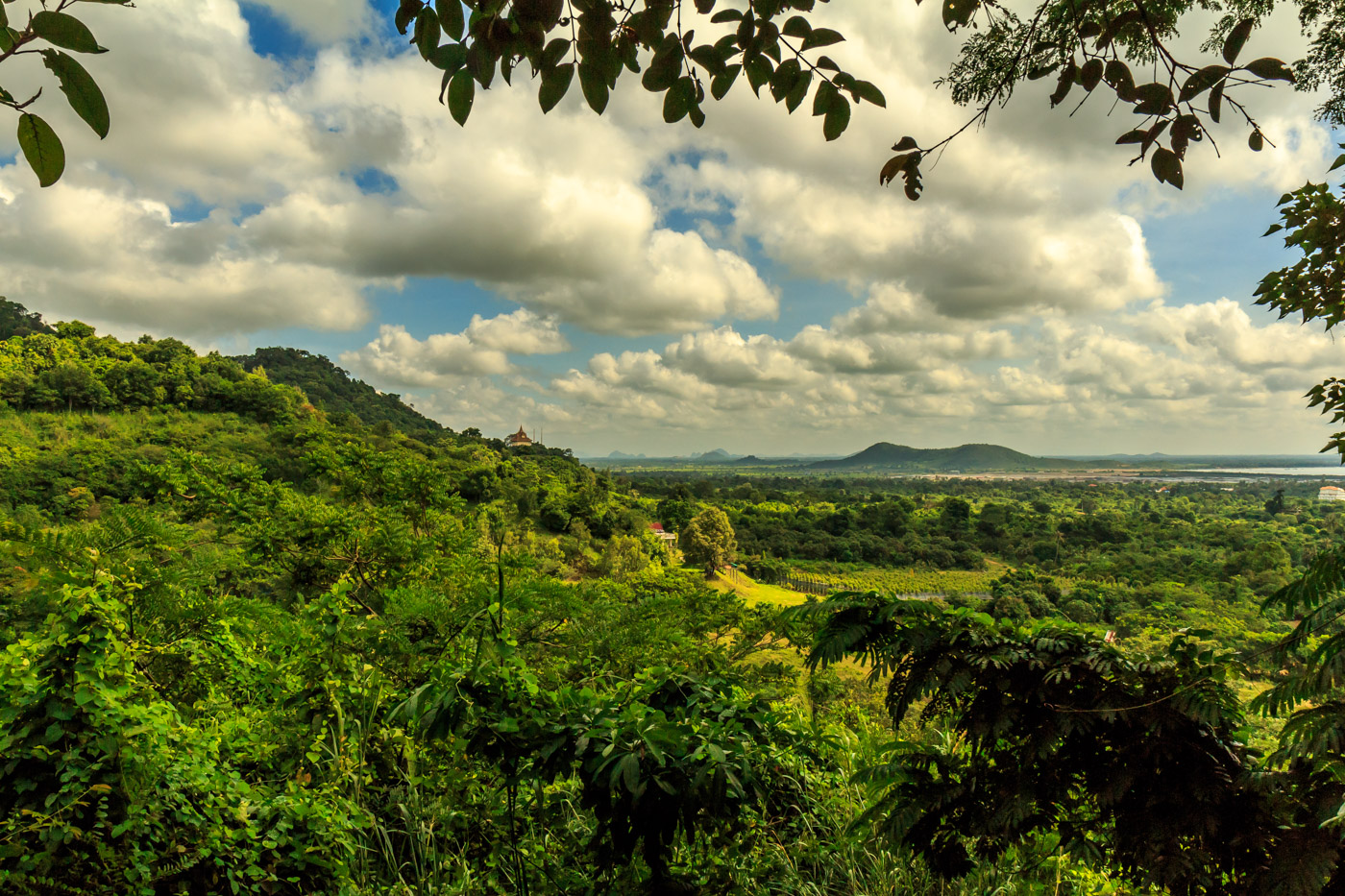 Cardamom Mountains