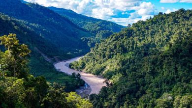 Cordillera de Carpish Mountains 