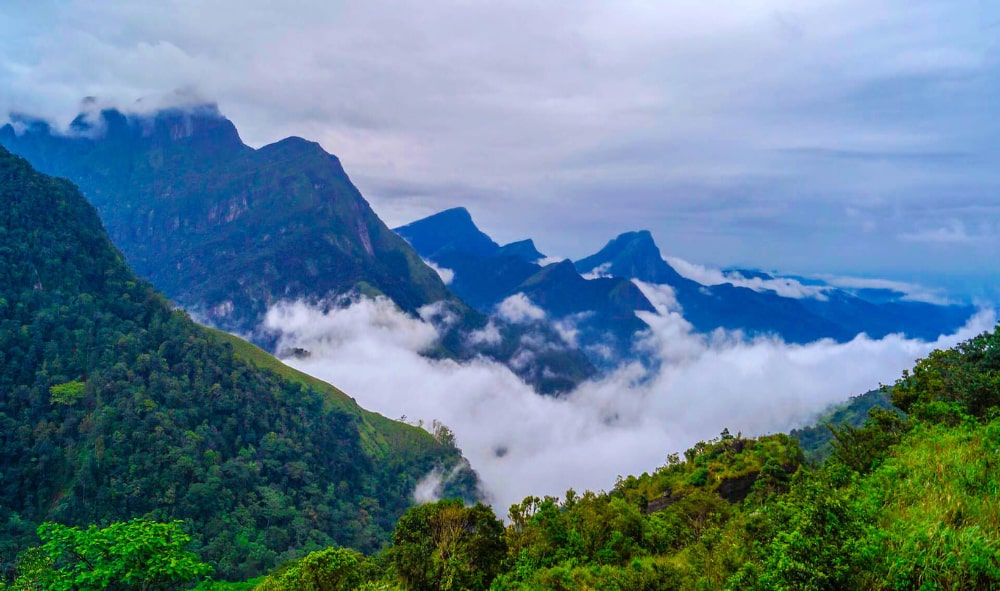 Knuckles Mountains