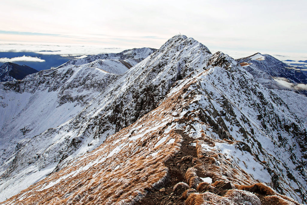 Moldoveanu Mountains 