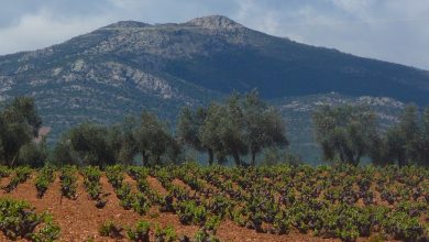 Montes de Toledo Mountains 