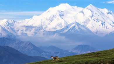 Mount Denali