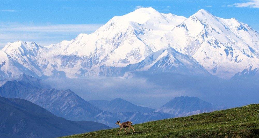 Mount Denali