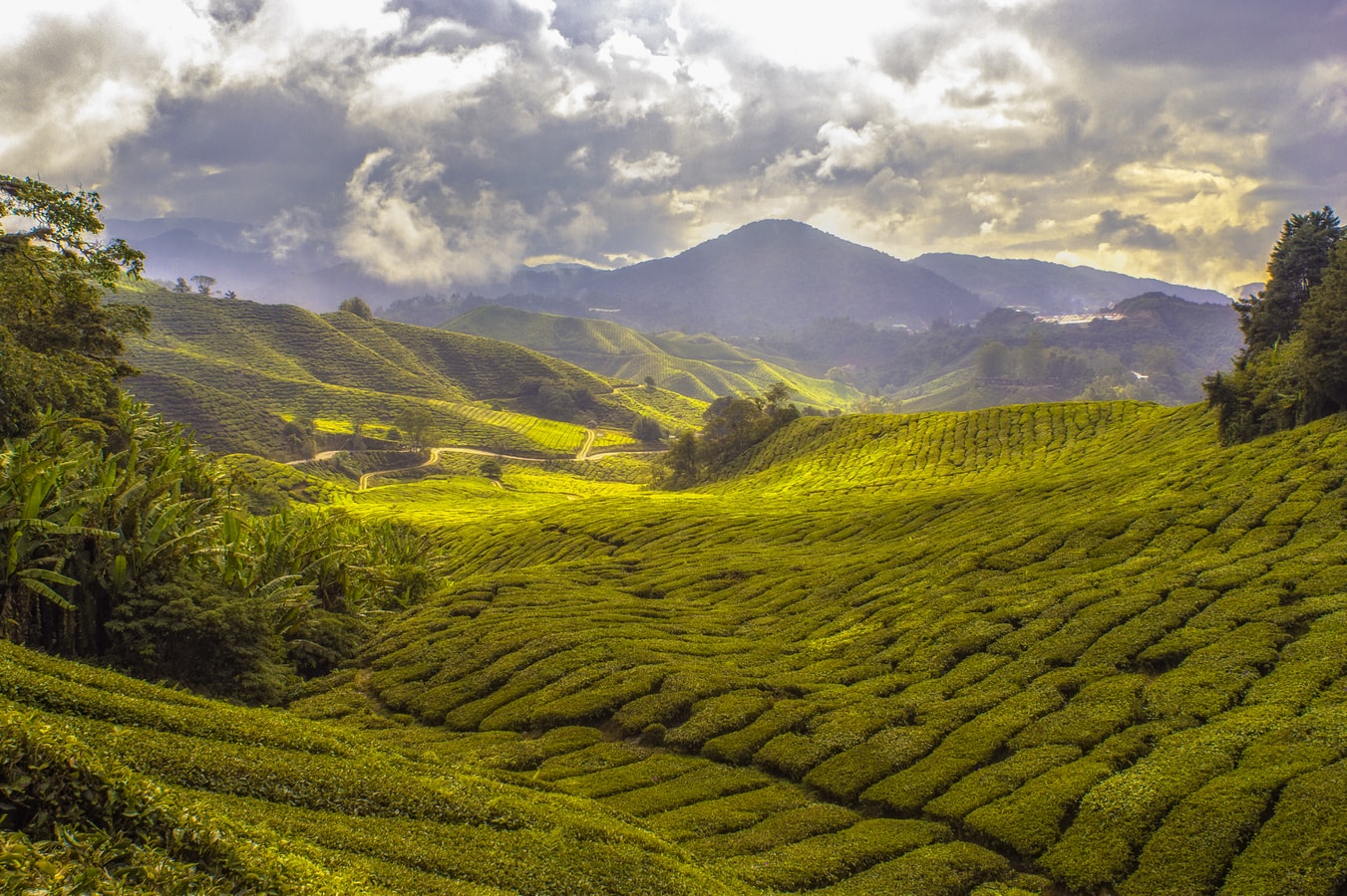 Titiwangsa Mountains