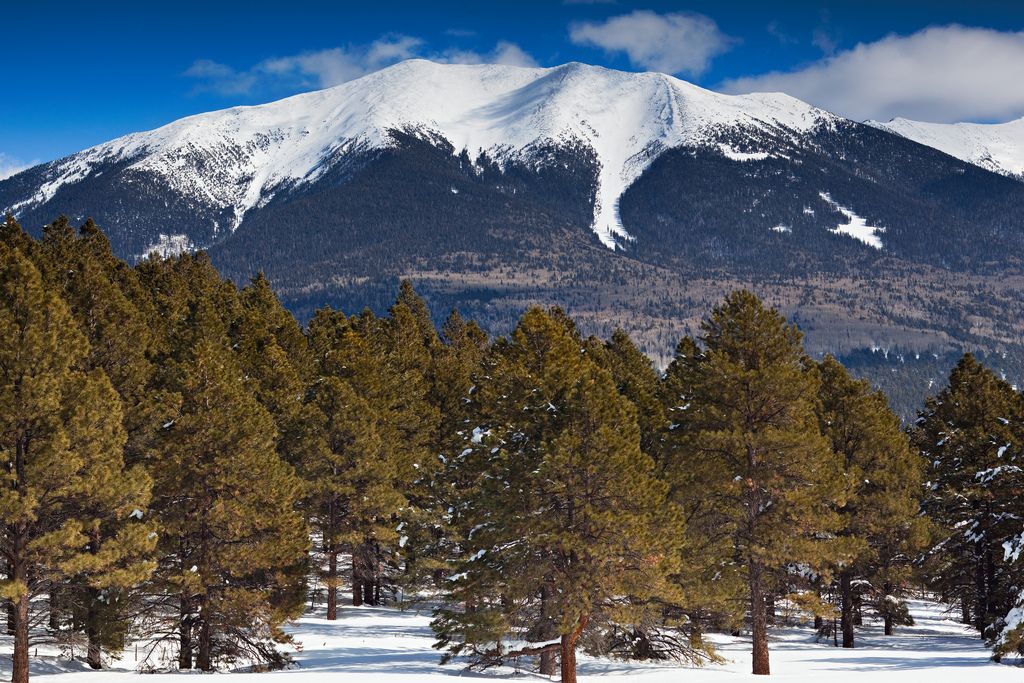 Mount Humphreys